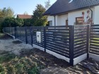 Zdjęcie nr 11