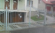 Zdjęcie nr 216