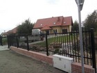 Zdjęcie nr 245
