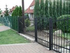 Zdjęcie nr 255